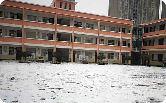 学校/机关单位